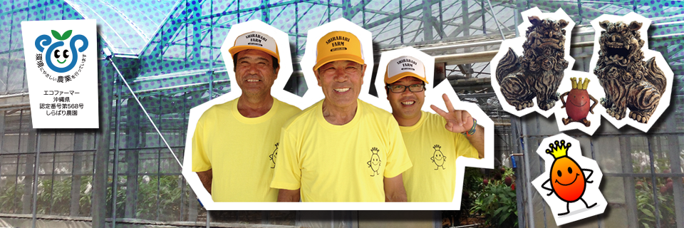 スタッフ写真。左から役員：立津光彦、代表：仲里初男、営業：仲里英之