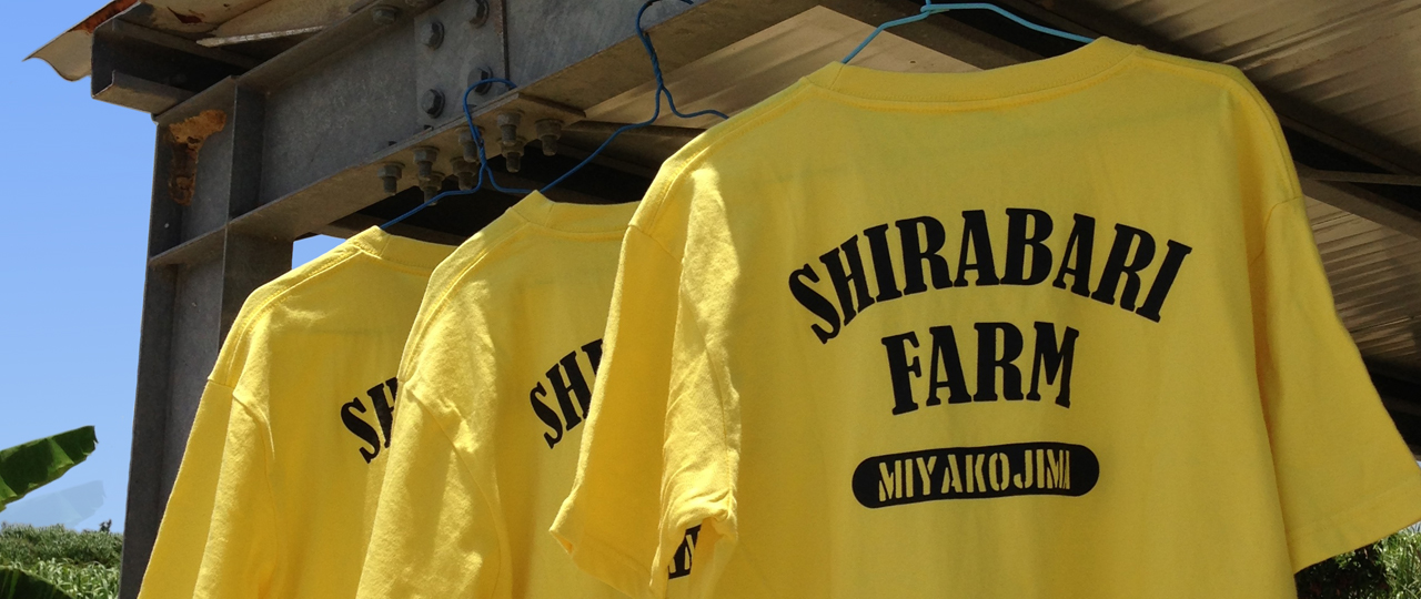 しらばり農園のユニフォームです