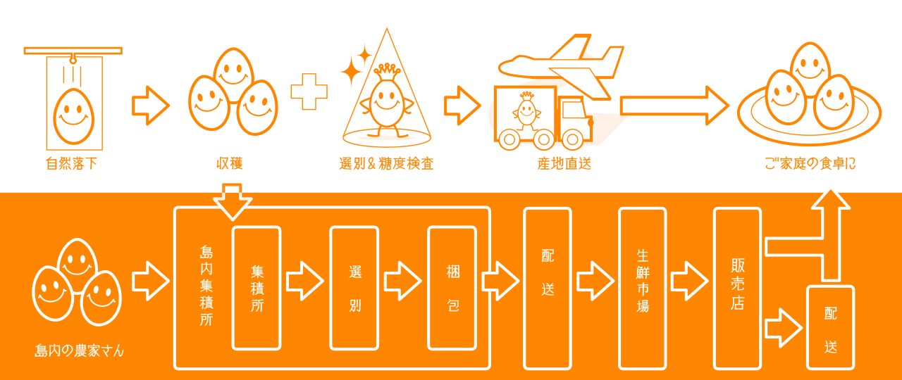 農園から直接、商品をお届けしています