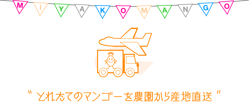 とれたてのマンゴーを農園から産地直送