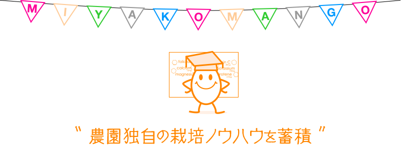 農園独自の栽培ノウハウを蓄積しています