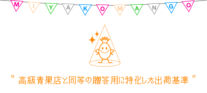 高級青果店と同等の贈答用に特化した出荷基準