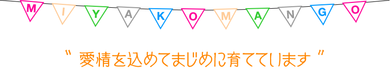 愛情を持って育てています