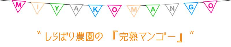しらばり農園の『完熟マンゴー』