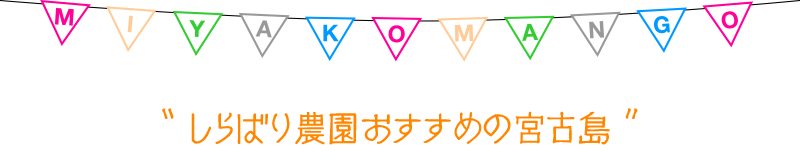 しらばり農園がおすすめする宮古島