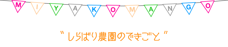 しらばり農園の最新ニュース