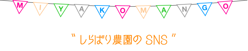 しらばり農園のSNS
