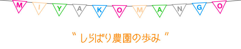 しらばり農園の歩み