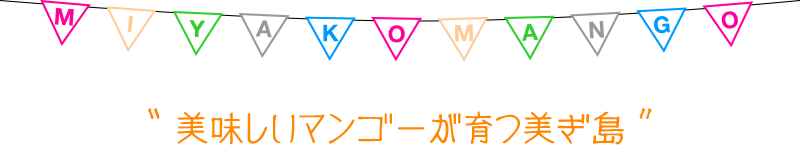 宮古島の完熟マンゴー