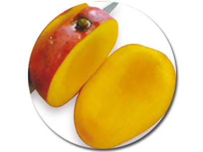 種と平行に包丁を入れる