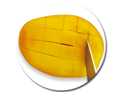 地下ダムができた後