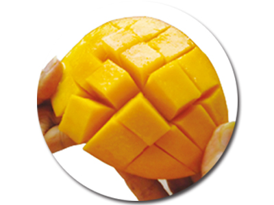 地下ダムの利用