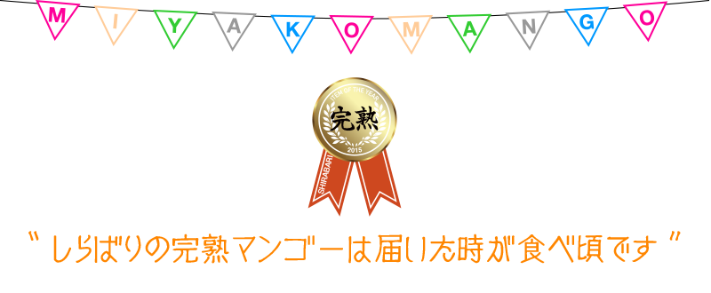 しらばり農園のマンゴーは届いた時が食べ頃です
