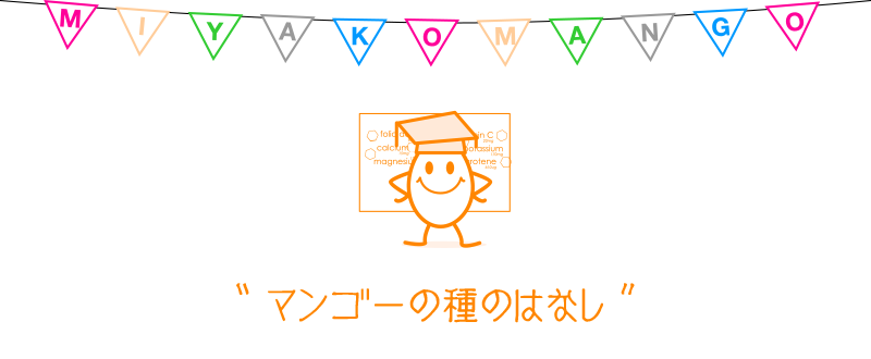 マンゴーの種のはなし